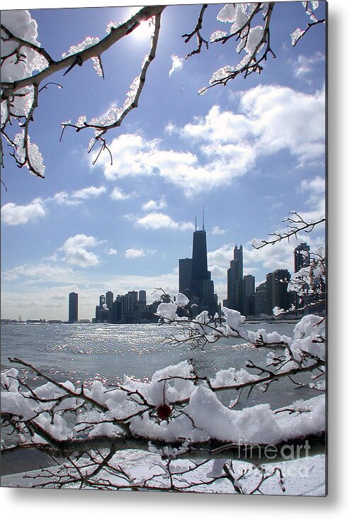 Winter Metal Print featuring the photograph Winter Sunshine by Martin Konopacki