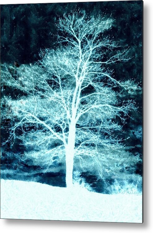 Winter Metal Print featuring the photograph Winter Whispers through the Night by Janine Riley