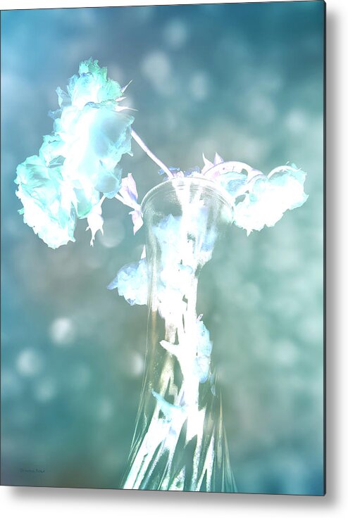 Roses Metal Print featuring the photograph Withering Away - Aqua Sparkle by Shawna Rowe