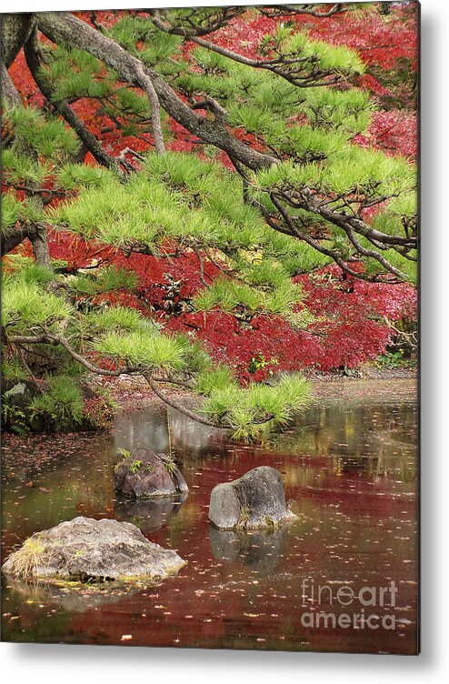 Zen Metal Print featuring the photograph Zen by Eena Bo