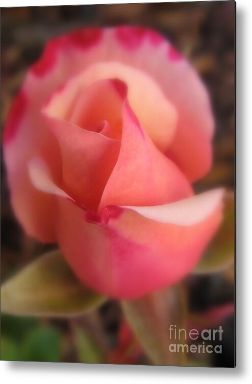 Flower Metal Print featuring the photograph Love #1 by Holy Hands