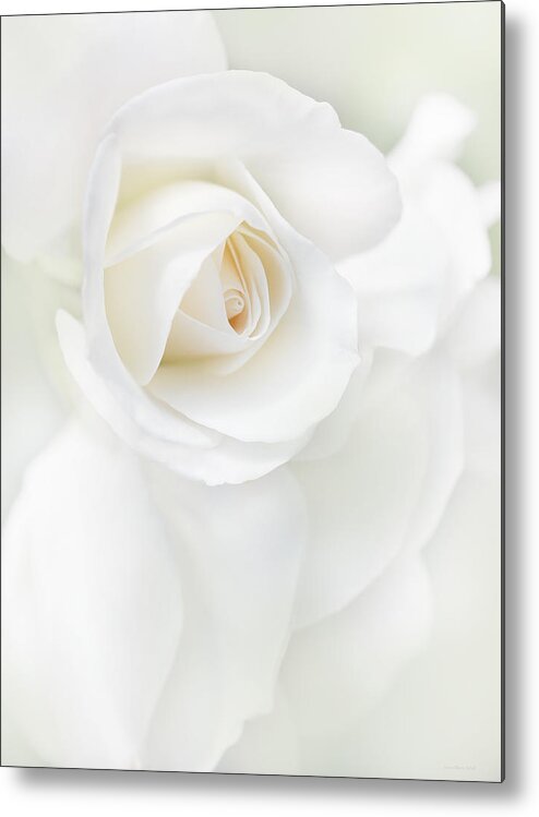 Rose Metal Print featuring the photograph White Rose Flower Petals by Jennie Marie Schell