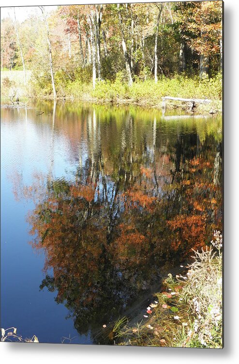 Reflection Metal Print featuring the photograph A Perfect Reflection Of Beauty by Kim Galluzzo