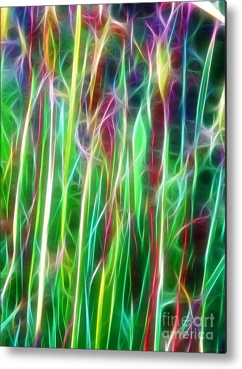 Fairy Garden Metal Print featuring the photograph Abstract Fairy Grass Garden by Kathie McCurdy