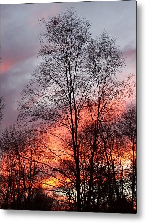 Sunset Metal Print featuring the photograph Adding Life To What Has Passed by Kim Galluzzo Wozniak
