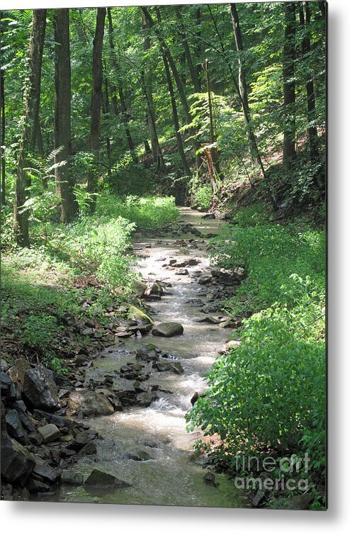 Landcape Metal Print featuring the photograph Along Cuttalossa Road by Louise Peardon