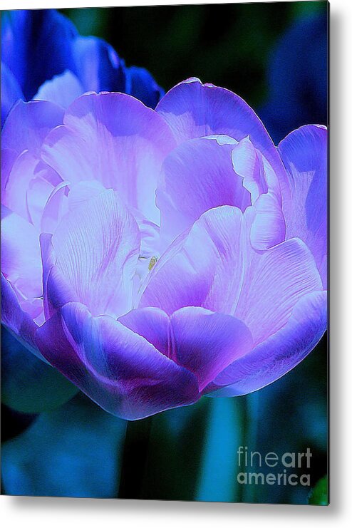 Tulip Metal Print featuring the photograph Avatar's Tulip by Rory Siegel