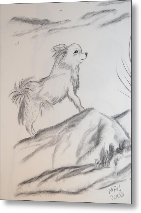 Chihuahua Metal Print featuring the drawing Aye Chihuahua by Maria Urso