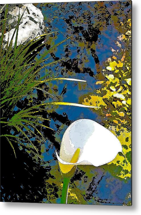 Floral Metal Print featuring the photograph Calla Lily 7 by Pamela Cooper