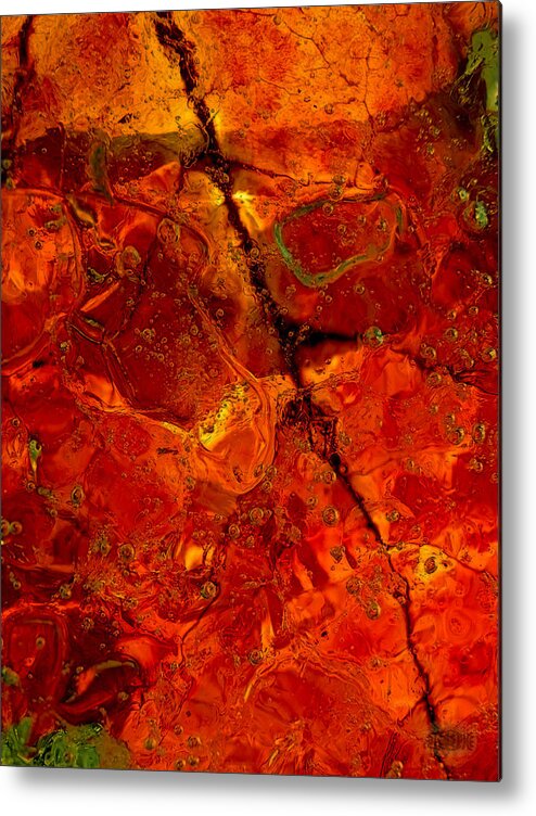 Autumnal Metal Print featuring the photograph Colors of Nature 3 by Sami Tiainen