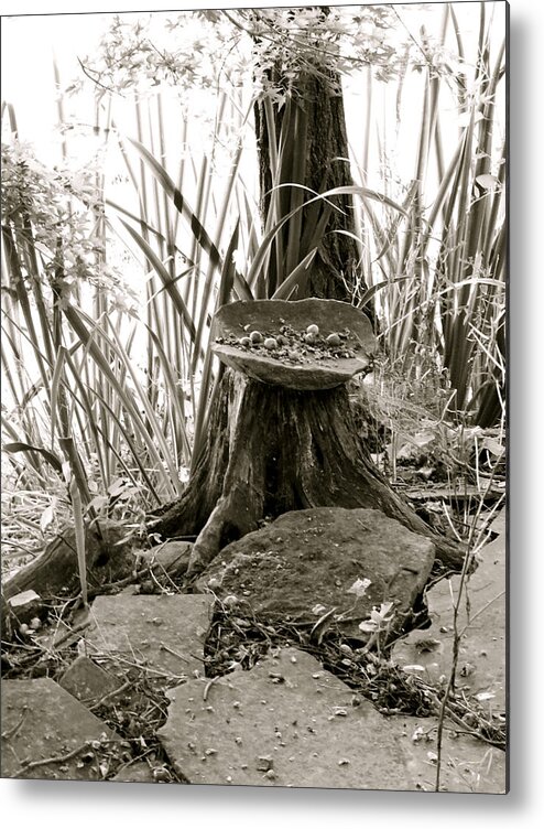 Black And White Metal Print featuring the photograph Faerie Offerings by Azthet Photography