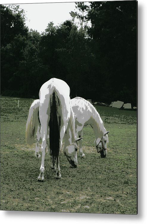 Horses Metal Print featuring the photograph Grazing Friendship by Kim Galluzzo Wozniak