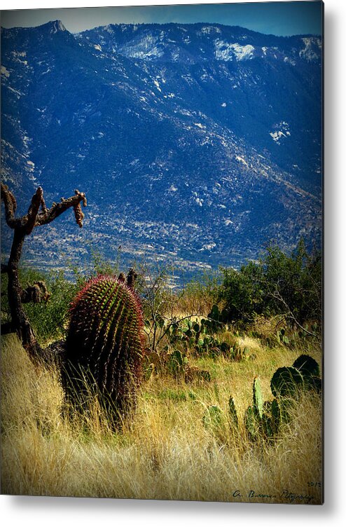 Santa Catalina Mountains Metal Print featuring the photograph Lemmon Over the High Desert by Aaron Burrows