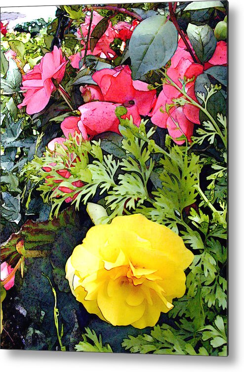 Flower Flowers Garden Ranunculus Impatiens Flora Floral Nature Natural Bloom Blooms Blossoms Blossom Bouquet Arrangement Colorful Plant Plants Botanical Botanic Blooming Gardens Gardening Tropical Annual Annuals Perennial Perennials Bulb Bulbs Metal Print featuring the painting Mixed Ranunculus in a Basket by Elaine Plesser