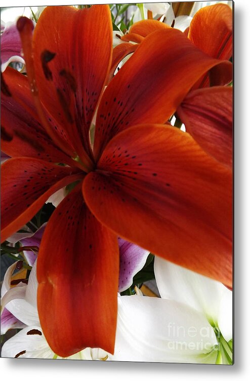 Flowers Metal Print featuring the photograph Orange Glow by Gary Brandes