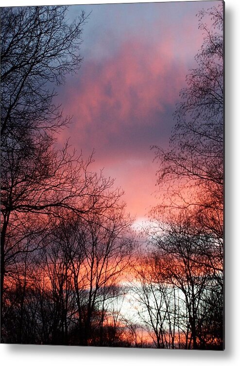 Pink Metal Print featuring the photograph Pink Forever by Kim Galluzzo Wozniak