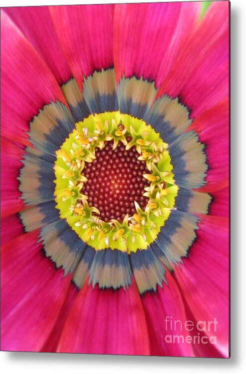 Flower Metal Print featuring the photograph Potent by Holy Hands