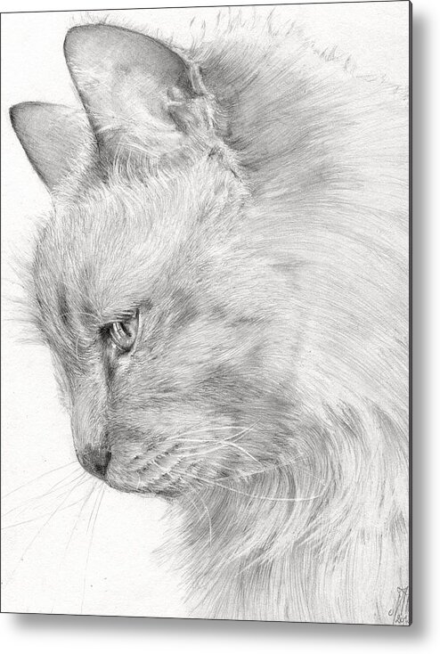 Cat Metal Print featuring the drawing Princess Fleur by Monique Geurts