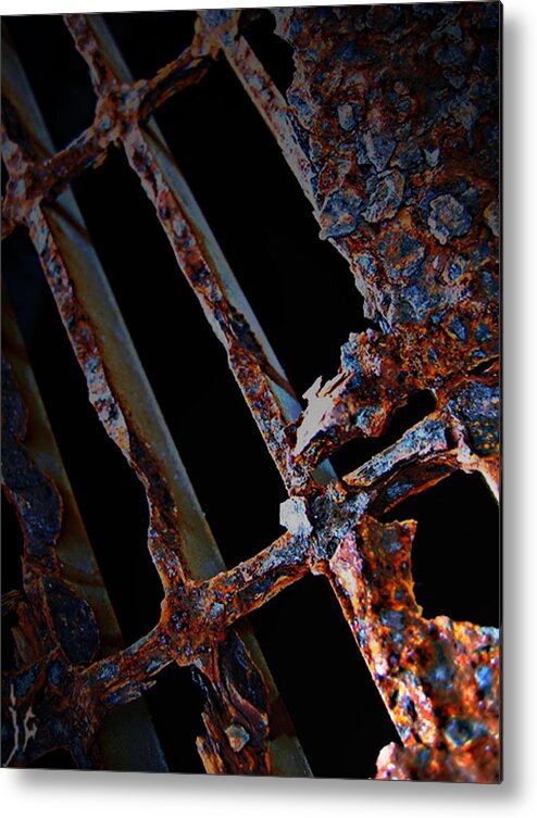 Elm Metal Print featuring the photograph Rat in the Cage by J C