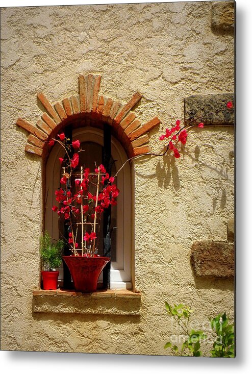 Window Metal Print featuring the photograph Red Bougainvillea in Window by Lainie Wrightson