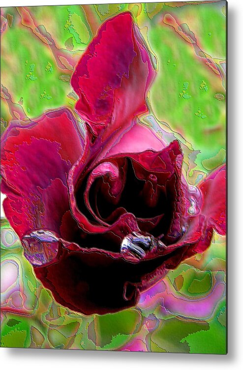 Rose Metal Print featuring the photograph Red Riding Hood by Lora Fisher
