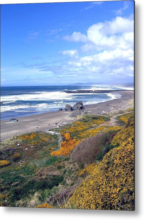 Sand And Sea Metal Print featuring the photograph Sand And Sea 15 by Will Borden