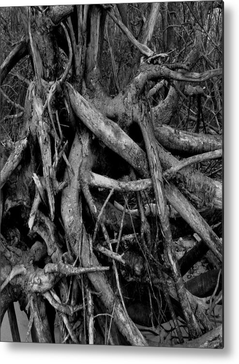 B&w Metal Print featuring the photograph Scary Branches by Dorin Adrian Berbier