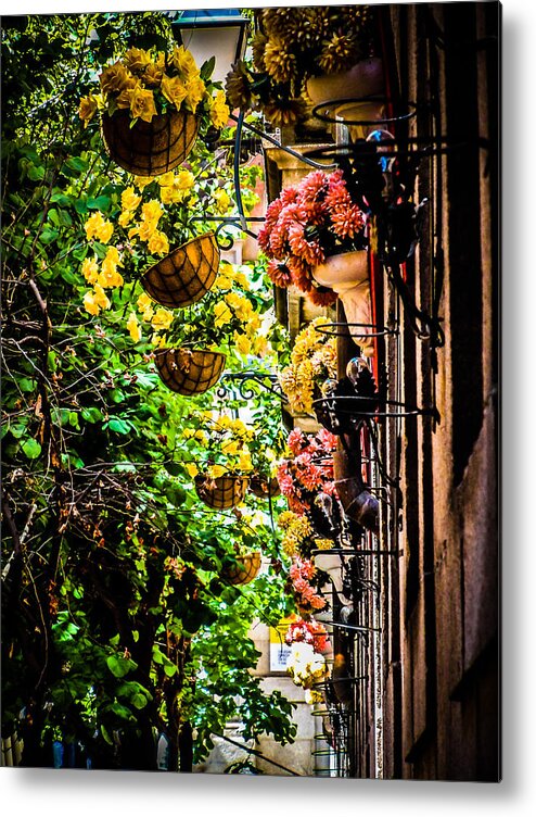 Spain Metal Print featuring the photograph Toledo Flowers by Raf Winterpacht