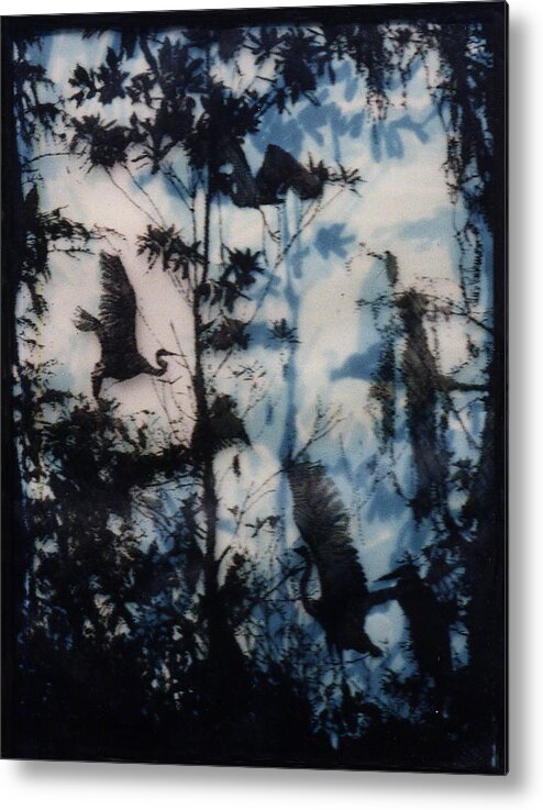 Herons Metal Print featuring the painting Tropical Art by Patrice Clarkson