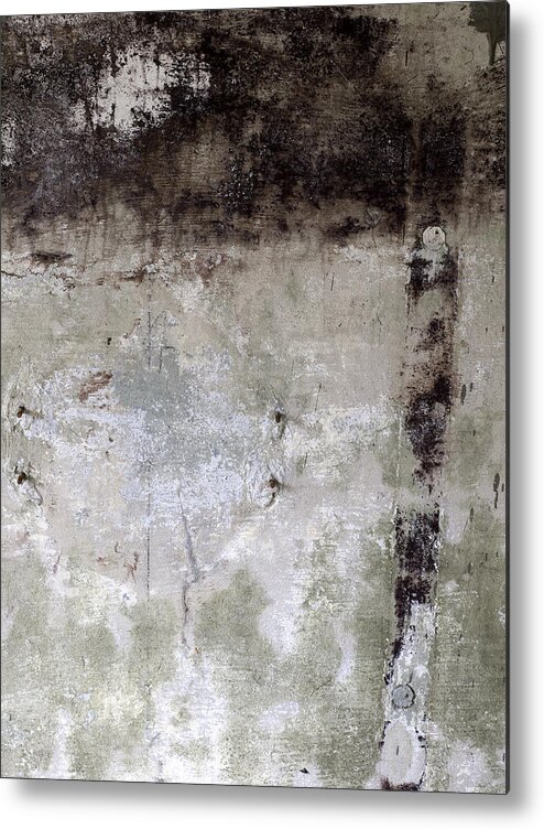 Wall Metal Print featuring the photograph Wall Texture Number 11 by Carol Leigh