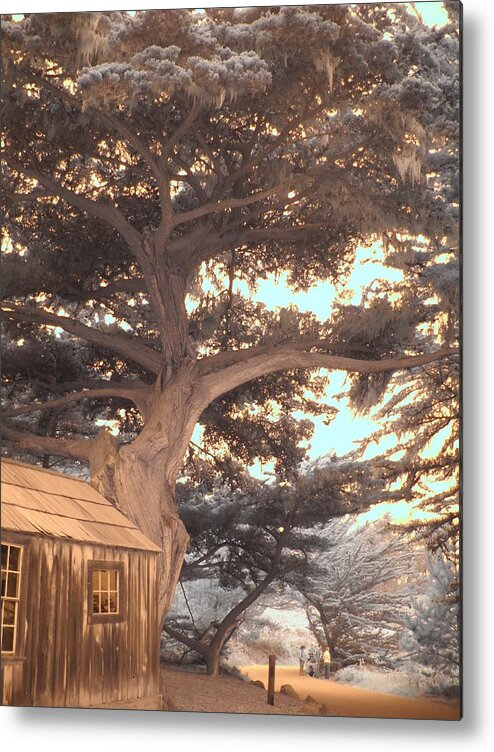 Whale Metal Print featuring the photograph Whaler's Cabin by Jane Linders