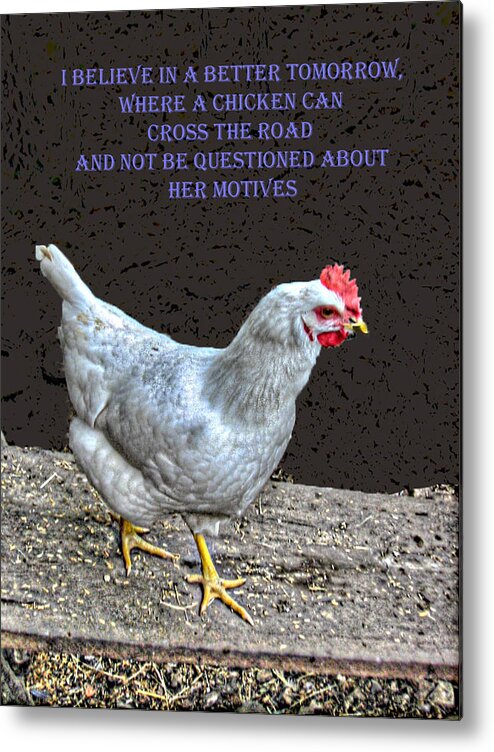 Why Chicken Metal Print featuring the photograph Why Chicken by William Fields