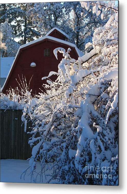 Patzer Metal Print featuring the photograph Winter Look by Greg Patzer