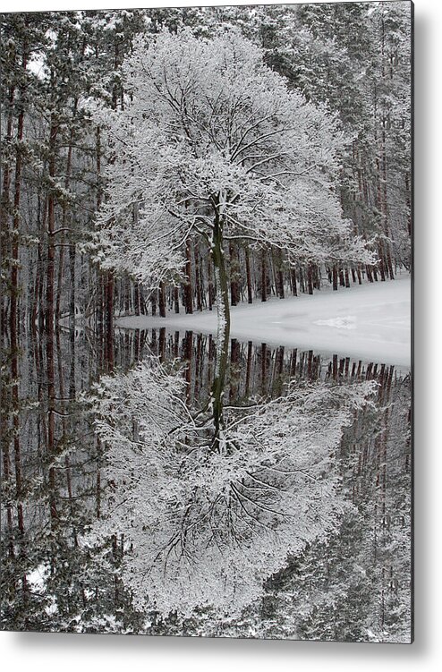 Winter Landscape Metal Print featuring the photograph Winter Reflection by Aimee L Maher ALM GALLERY