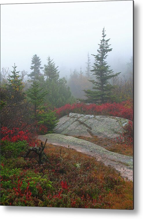 Acadia Np Metal Print featuring the photograph Cadillac Mountain #1 by Juergen Roth