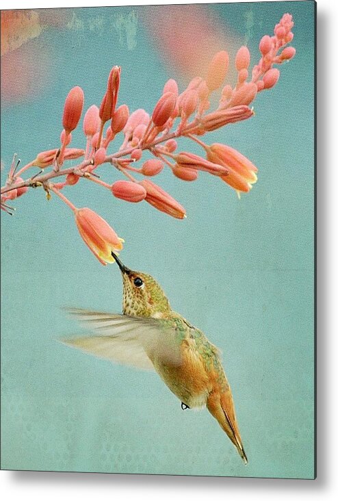 Hummingbird Metal Print featuring the photograph Ethereal #1 by Fraida Gutovich