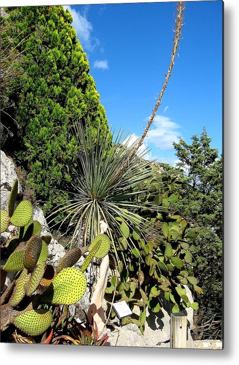 Eze Metal Print featuring the photograph French Riviera #1 by Pat Moore