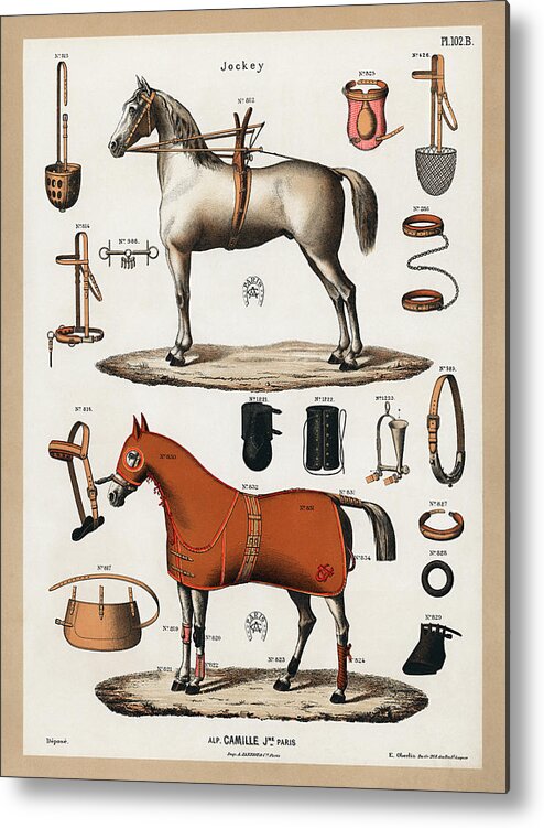 Accessory Metal Print featuring the drawing Horses with antique horseback riding equipments by Vincent Monozlay