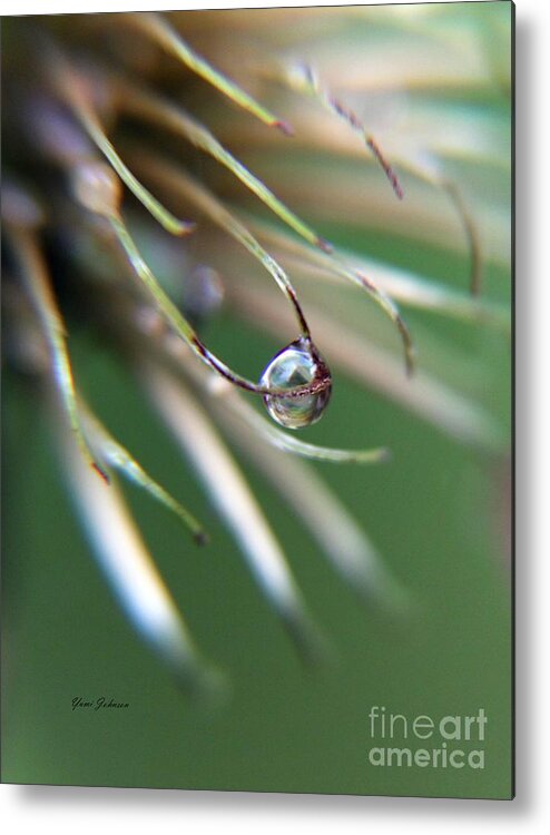 Raindrops Metal Print featuring the photograph Magic ball #1 by Yumi Johnson