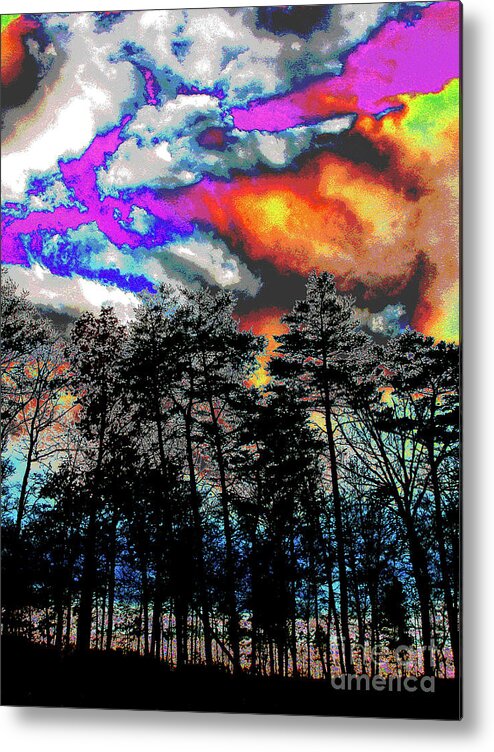 Larry Metal Print featuring the photograph Bright Braddock Sunset #2 by Larry Oskin
