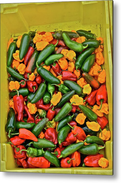 Poblano Peppers Metal Print featuring the photograph 2016 Monona Farmers' Market Poblano Peppers by Janis Senungetuk