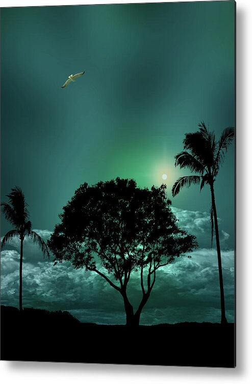 Trees Metal Print featuring the photograph 4420 by Peter Holme III