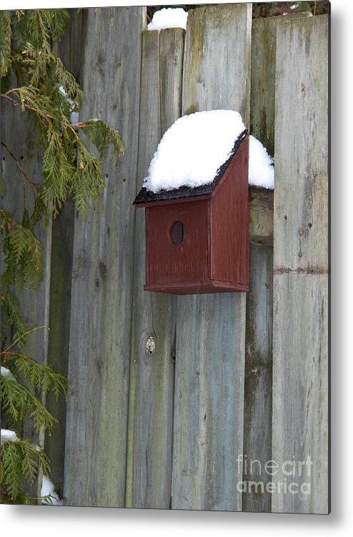 Birdhouse Metal Print featuring the photograph A Birdhouse to Live In by Corinne Elizabeth Cowherd