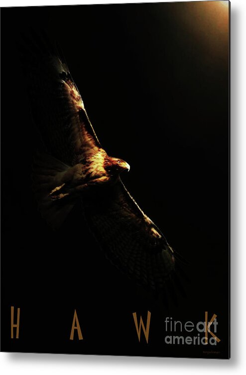 Red Tail Hawk Metal Print featuring the photograph A Moment In Time . with text by Wingsdomain Art and Photography