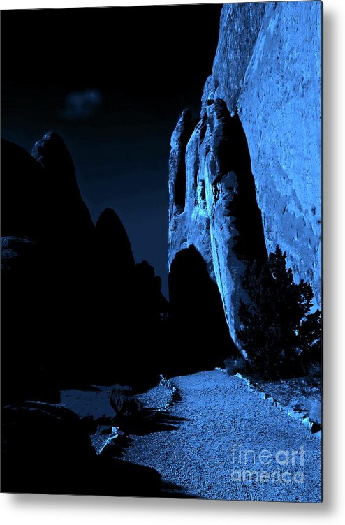 Digital Altered Photo Metal Print featuring the photograph A Walk in the Moonlight by Tim Richards