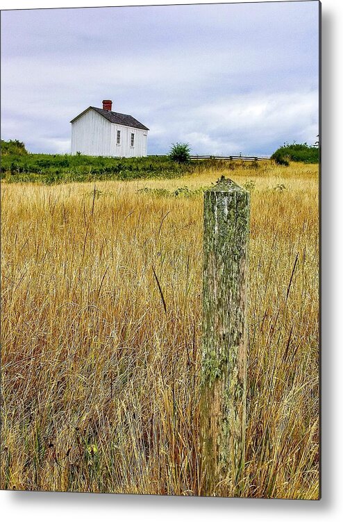 Peaceful Metal Print featuring the photograph Alone by Shannon Kelly