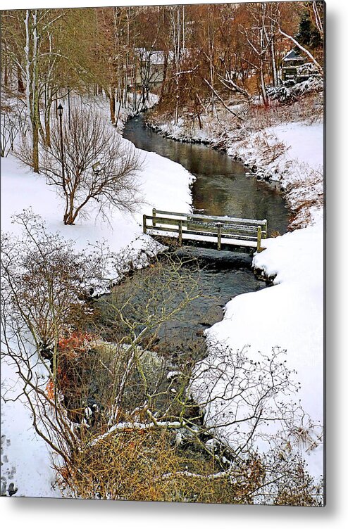 Town Brook Metal Print featuring the photograph Along Town Brook Plymouth MA by Janice Drew