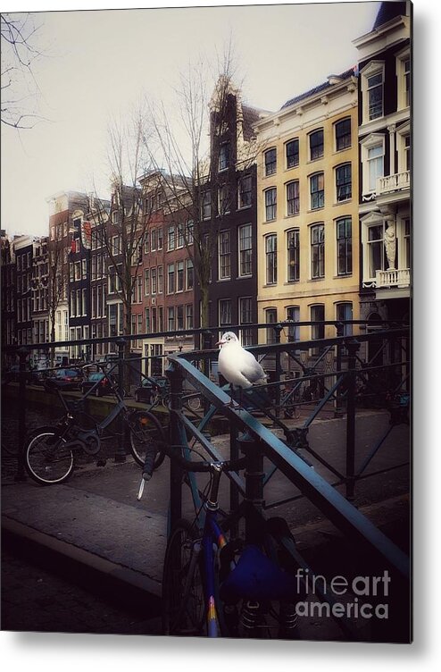 Amsterdam Metal Print featuring the photograph AmSeagull by HELGE Art Gallery