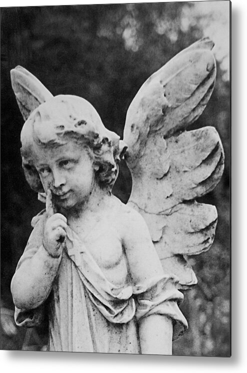 Angel Metal Print featuring the photograph Angel by Amarildo Correa