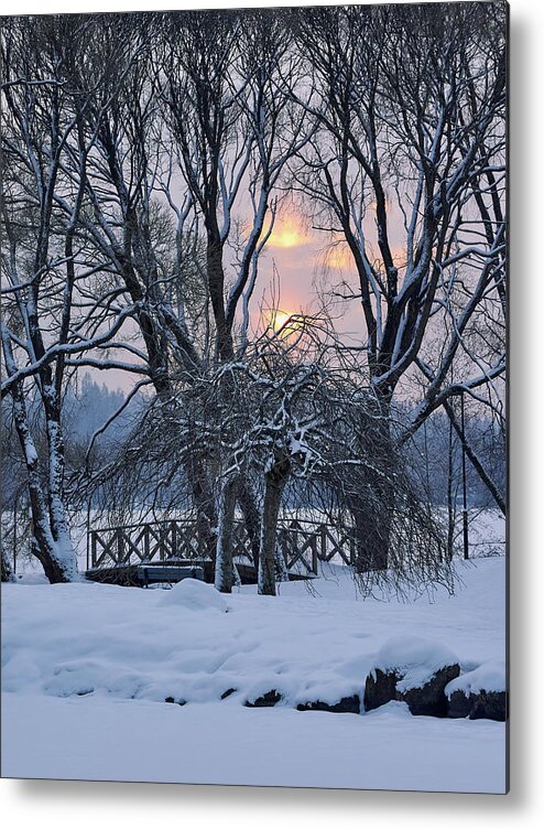 Finland Metal Print featuring the photograph Arboretum sunset by Jouko Lehto